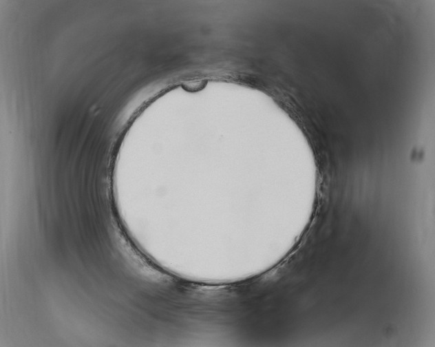 X0000114030054200911131258