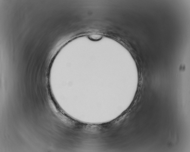 X0000114030055200911131258