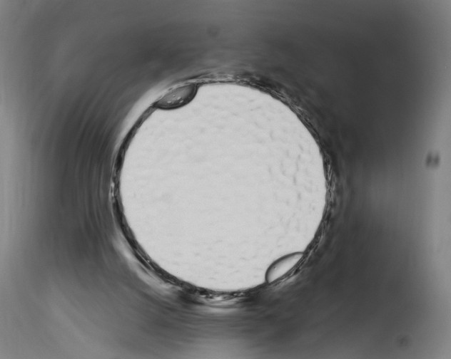 X0000114030056200911131258