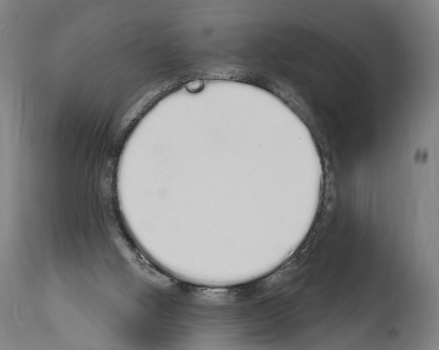 X0000114030058200911131258