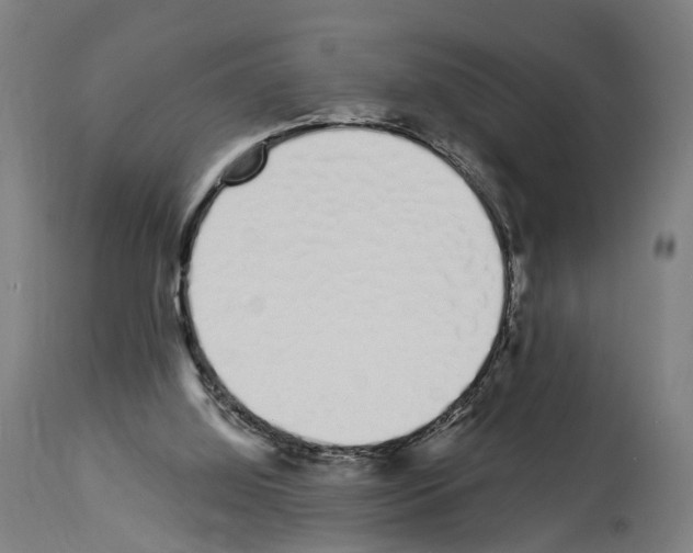 X0000114030060200911131258