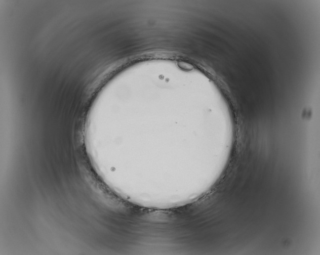 X0000114030062200911131258