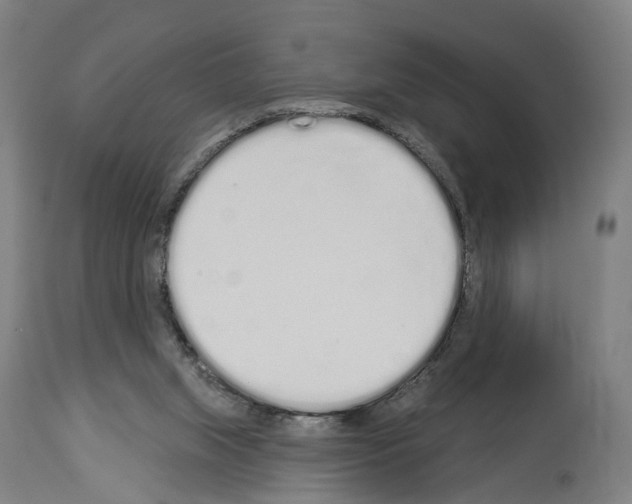 X0000114030063200911131258