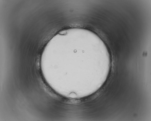 X0000114030065200911131258