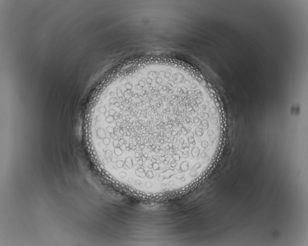 X0000114030067200911131258