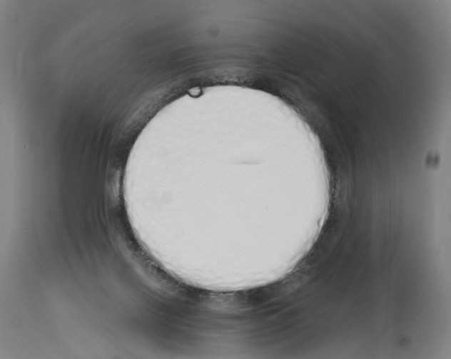 X0000114030070200911131258