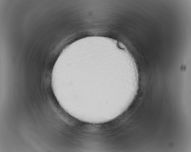 X0000114030071200911131258