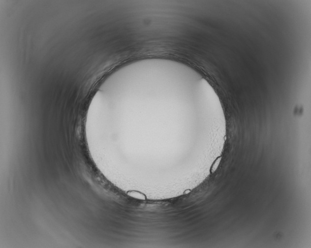 X0000114030072200911131258