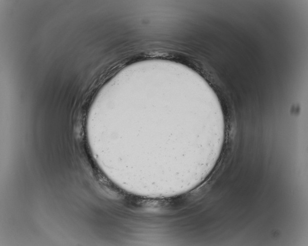 X0000114030074200911131258