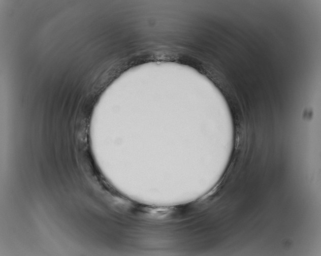 X0000114030078200911131258