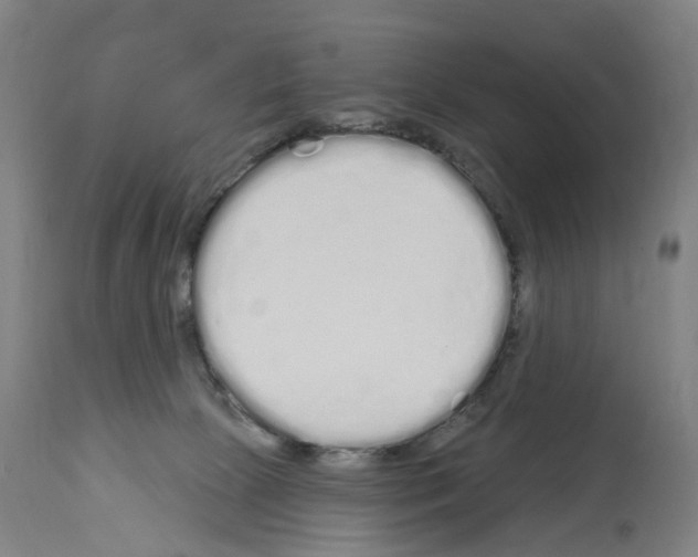 X0000114030081200911131258