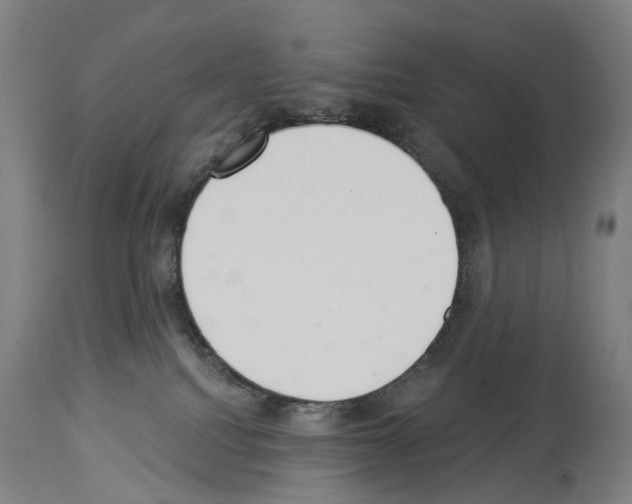 X0000114030088200911131258