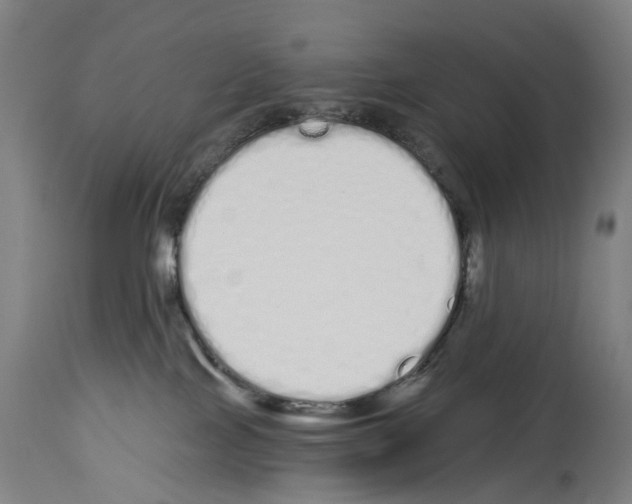 X0000114030089200911131258