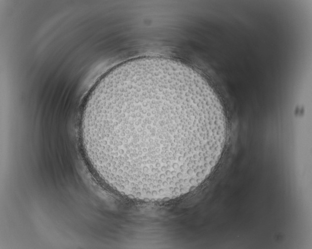 X0000114030098200911131258