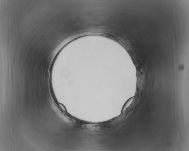 X0000114030100200911131258