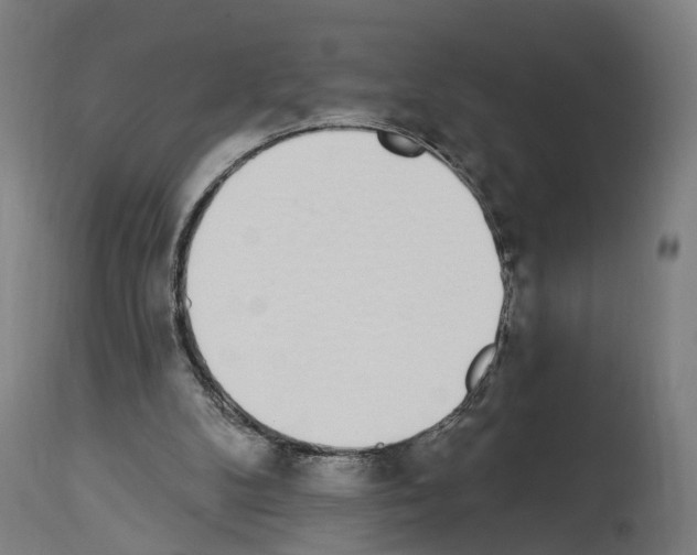 X0000114030104200911131258