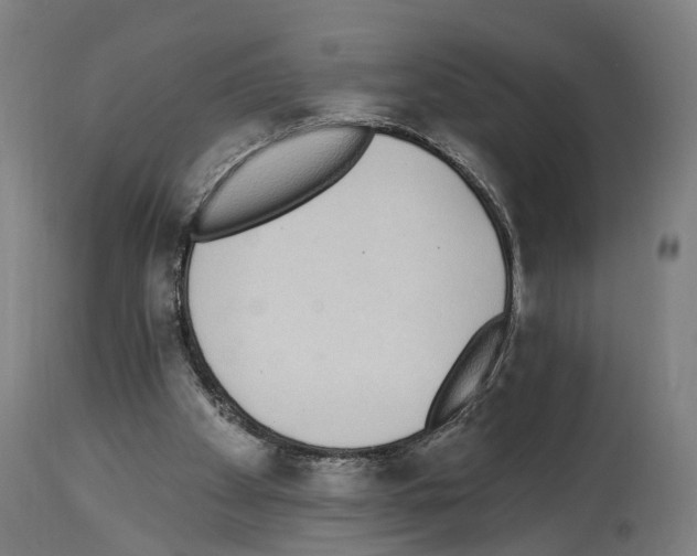 X0000114030105200911131257