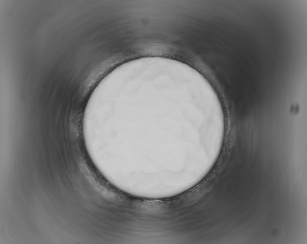 X0000114030106200911131257