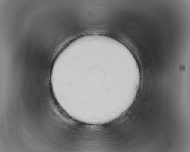 X0000114030107200911131257