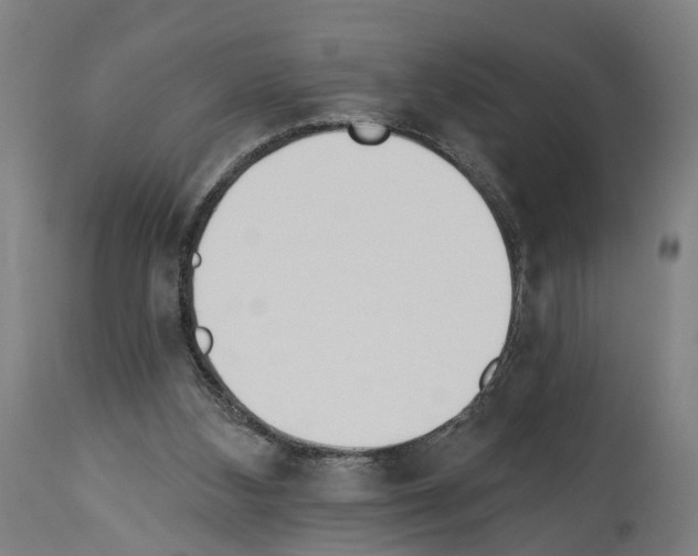 X0000114030108200911131257