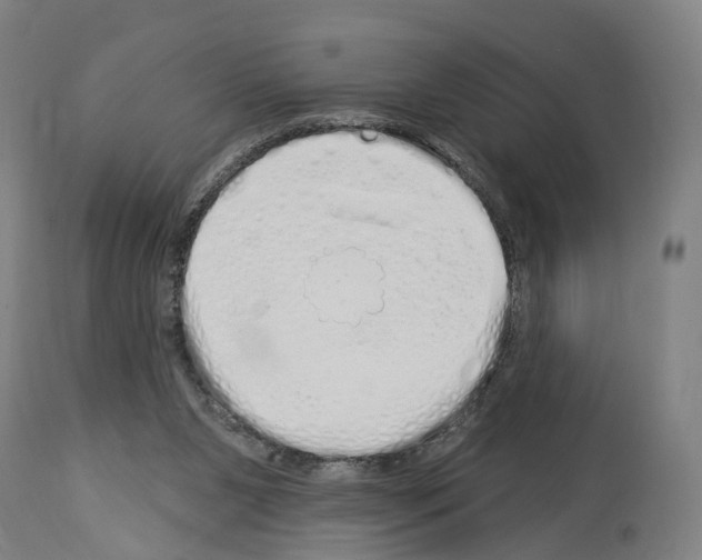 X0000114030111200911131257