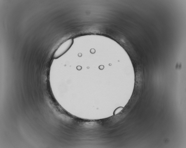 X0000114030112200911131257