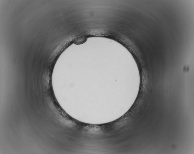 X0000114030113200911131257