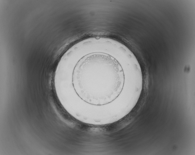 X0000114030115200911131257