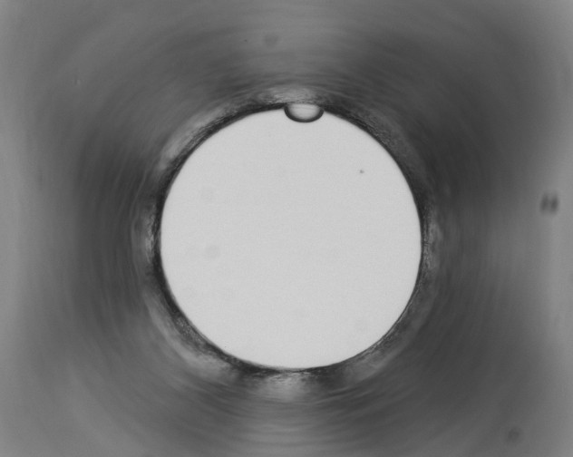 X0000114030116200911131257