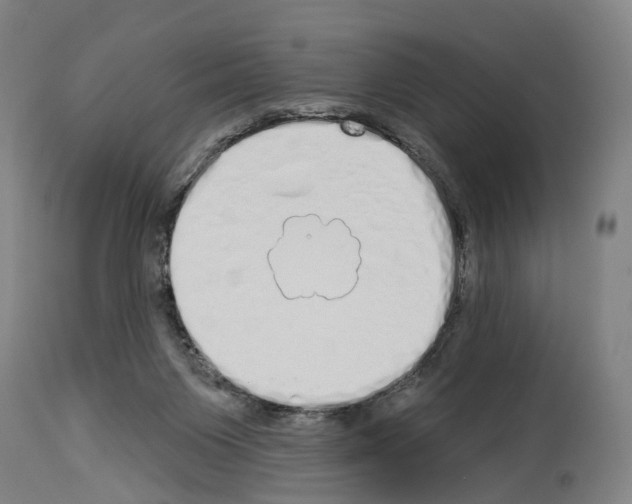 X0000114030119200911131257