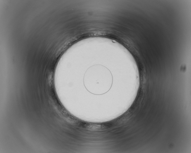 X0000114030123200911131257