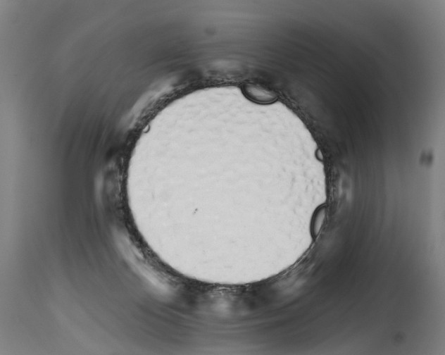 X0000114030124200911131257