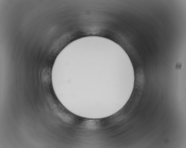 X0000114030126200911131257