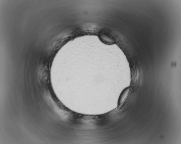 X0000114030128200911131257