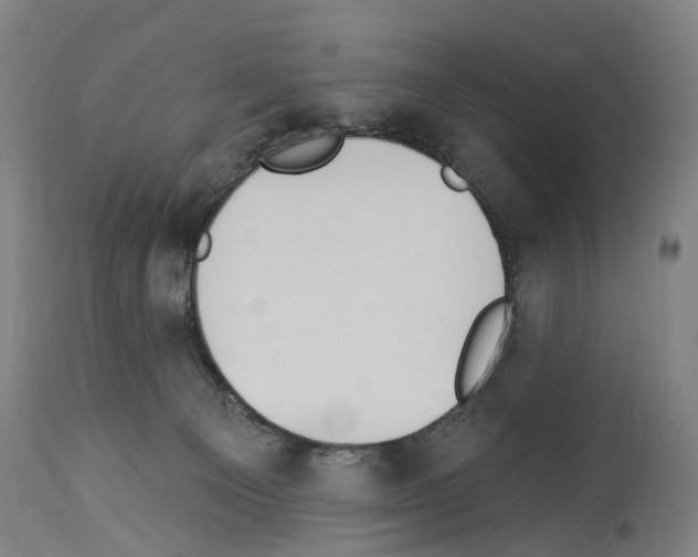 X0000114030129200911131257