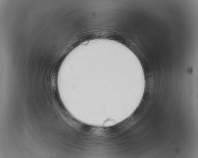 X0000114030131200911131257