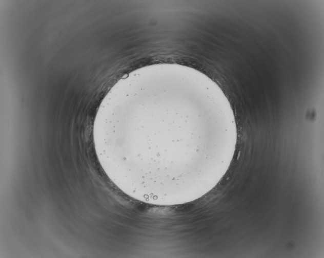 X0000114030133200911131257