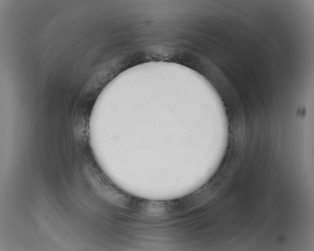 X0000114030134200911131257