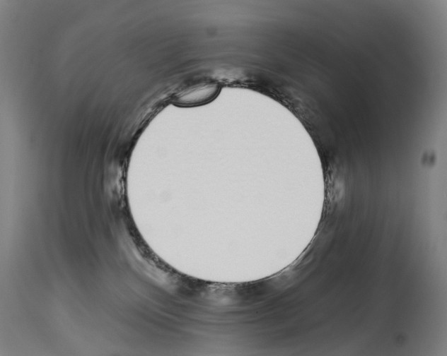 X0000114030136200911131257