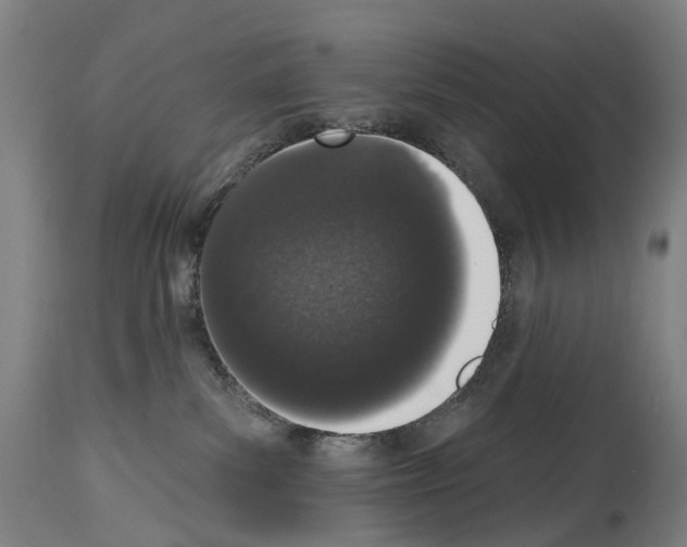 X0000114030139200911131257