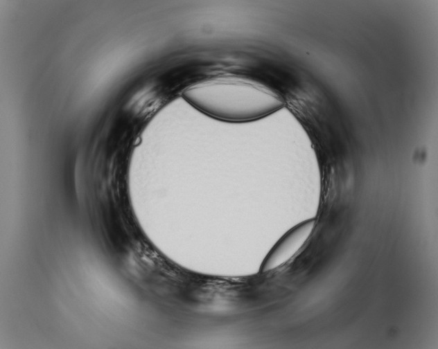 X0000114030140200911131257