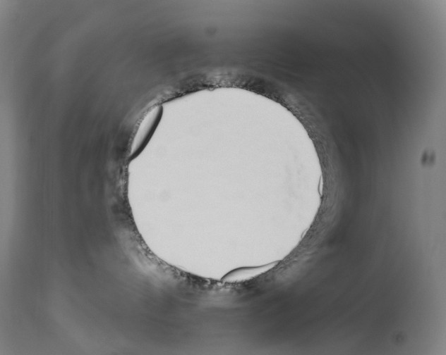 X0000114030144200911131257