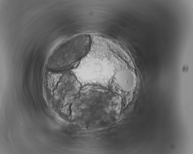 X0000114030145200911131256