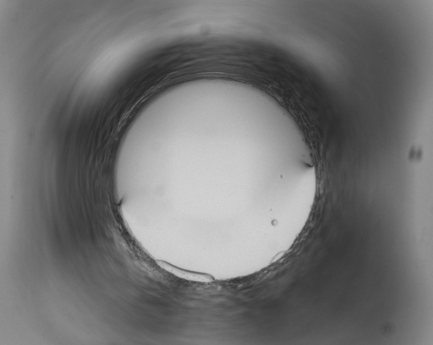 X0000114030146200911131256