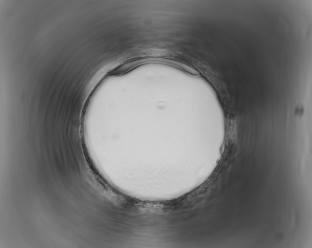 X0000114030147200911131256