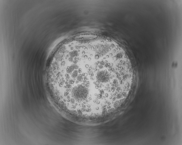 X0000114030149200911131256