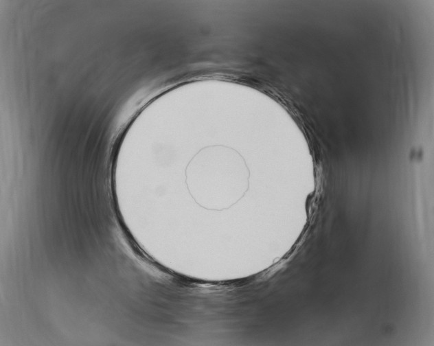 X0000114030150200911131256