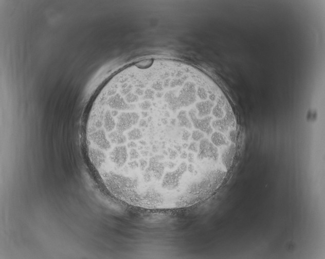 X0000114030151200911131256