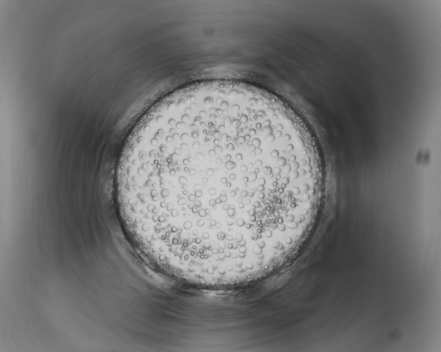 X0000114030153200911131256