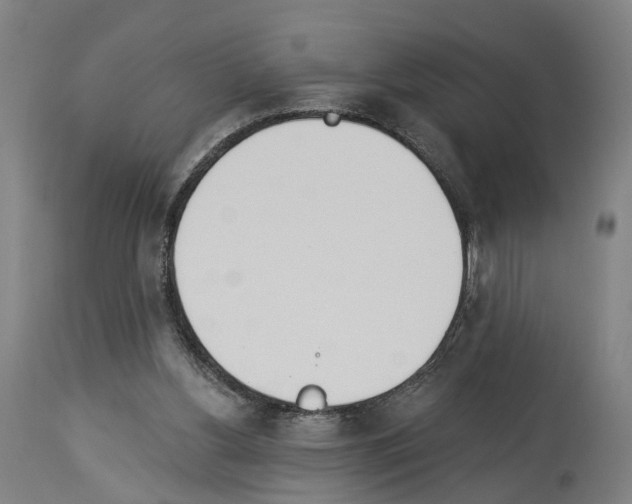 X0000114030156200911131256